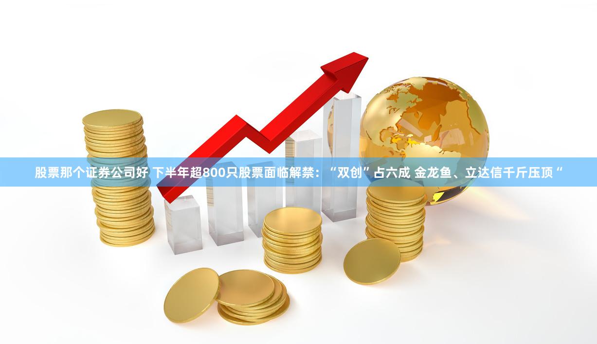 股票那个证券公司好 下半年超800只股票面临解禁：“双创”占六成 金龙鱼、立达信千斤压顶“