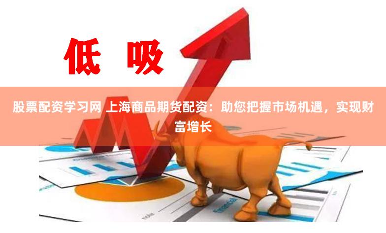 股票配资学习网 上海商品期货配资：助您把握市场机遇，实现财富增长