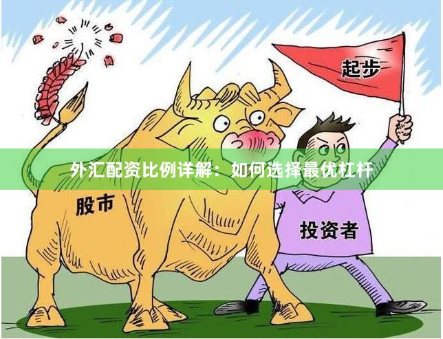 外汇配资比例详解：如何选择最优杠杆