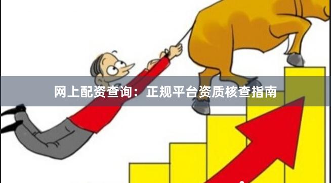 网上配资查询：正规平台资质核查指南