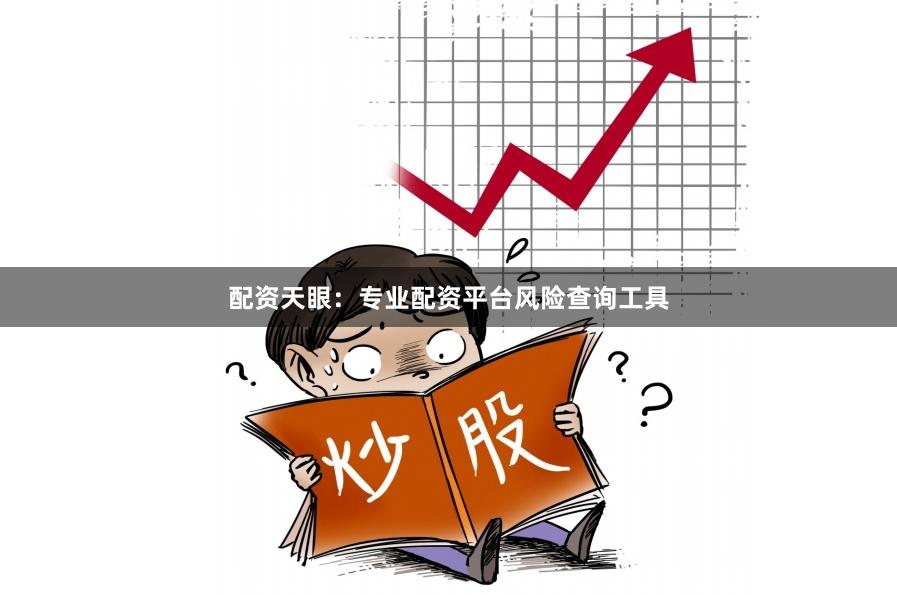 配资天眼：专业配资平台风险查询工具